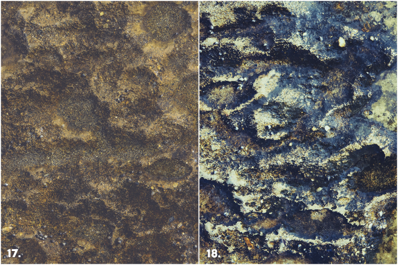 20-weathered-sea-concrete-textures