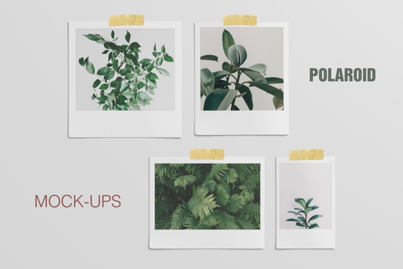 Download Free Polaroid Mockup (4 Sizes) (PSD Mockups)