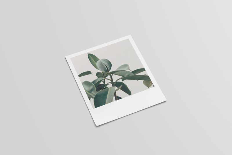 Download Polaroid Mockup (4 Sizes) By graphiccrew | TheHungryJPEG.com