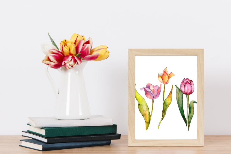 tulips-for-love-nbsp-watercolor-png