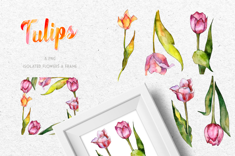 tulips-for-love-nbsp-watercolor-png