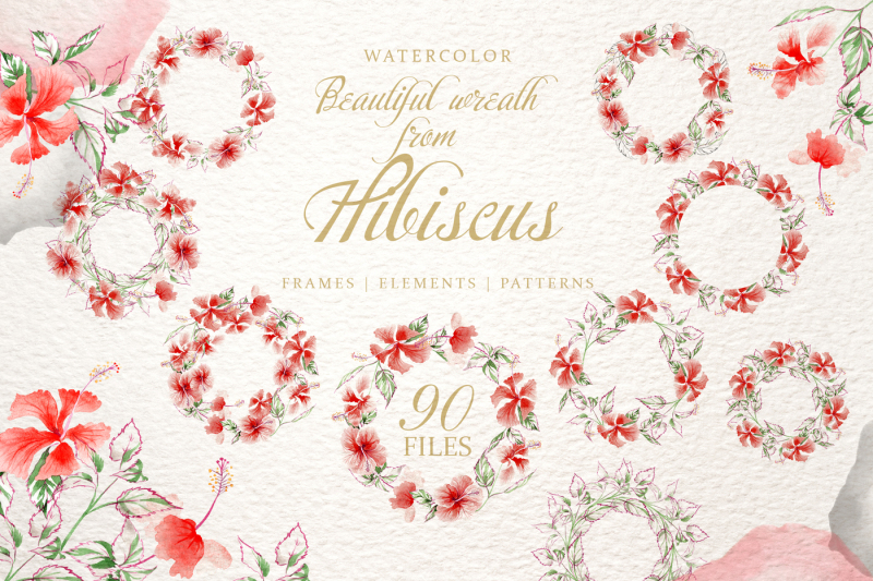hibiscus-watercolor-png