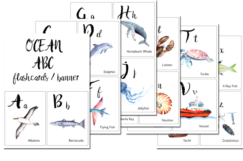 abc-ocean-flashcards-banner