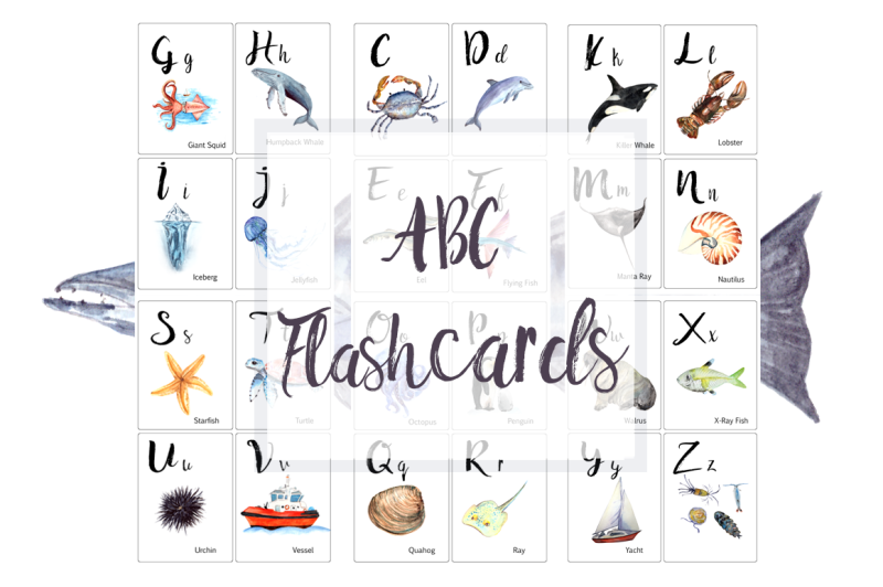 abc-ocean-flashcards-banner