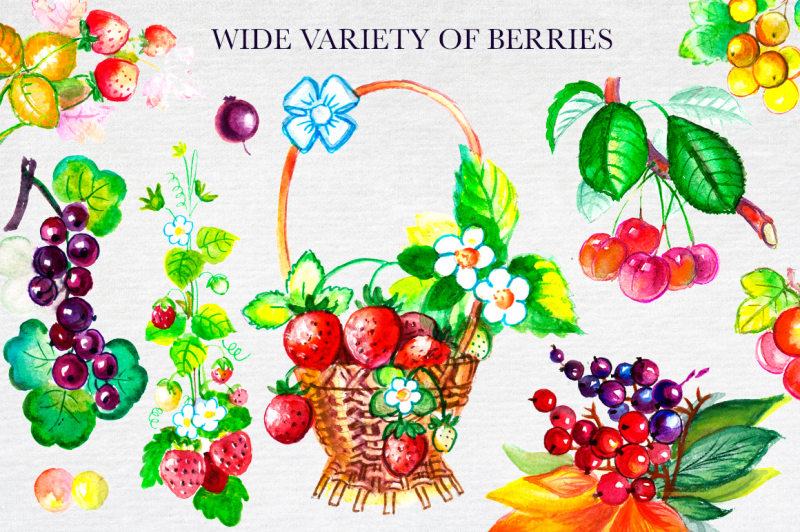 berry-big-watercolor-set