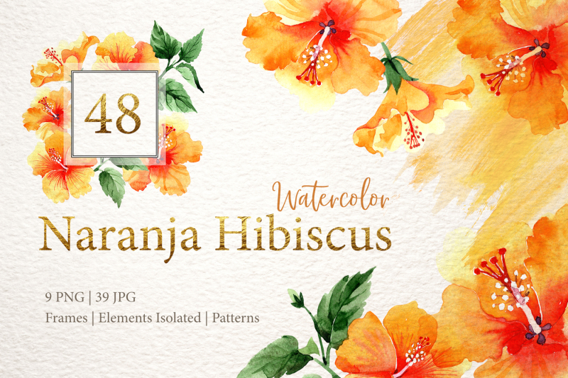 naranja-hibiscus-watercolor-png