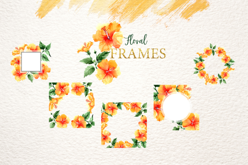 naranja-hibiscus-watercolor-png