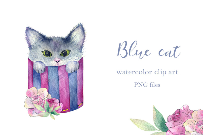 blue-cat