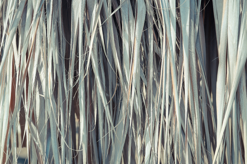 11-palm-leaves-textures