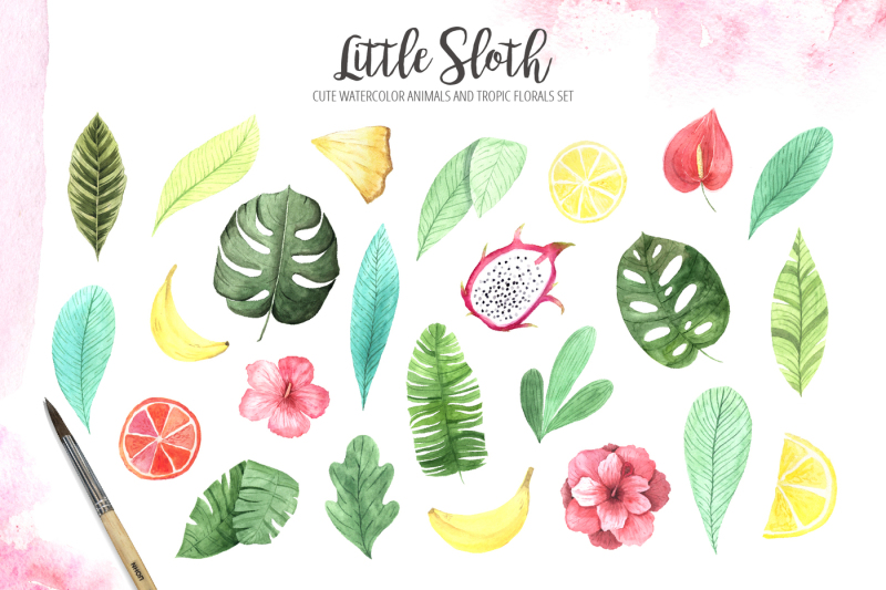 watercolor-sloth-and-tropic-florals