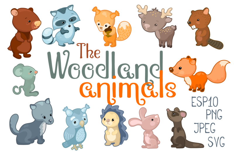 woodland-animals-vector-clipart