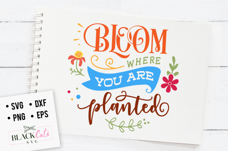 bloom-where-you-are-planted-svg