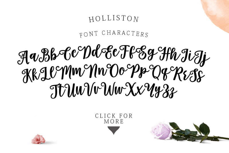 holliston-script