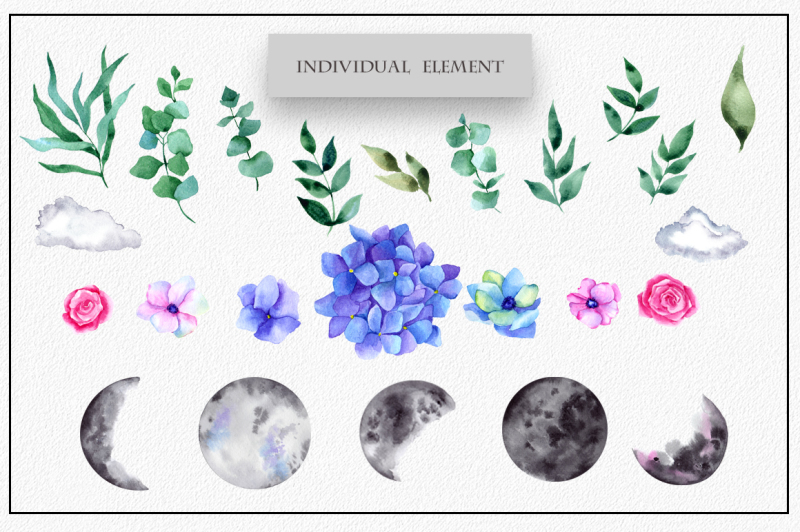 moon-flower-watercolor-clipart