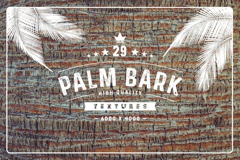 29-palm-bark-textures