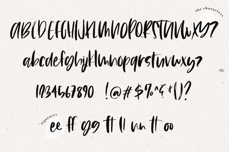island-tea-handwritten-brush-font