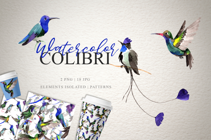 colibri-watercolor-png