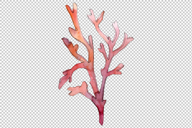 corals-watercolor-png