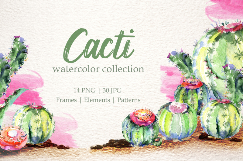 cacti-watercolor-png