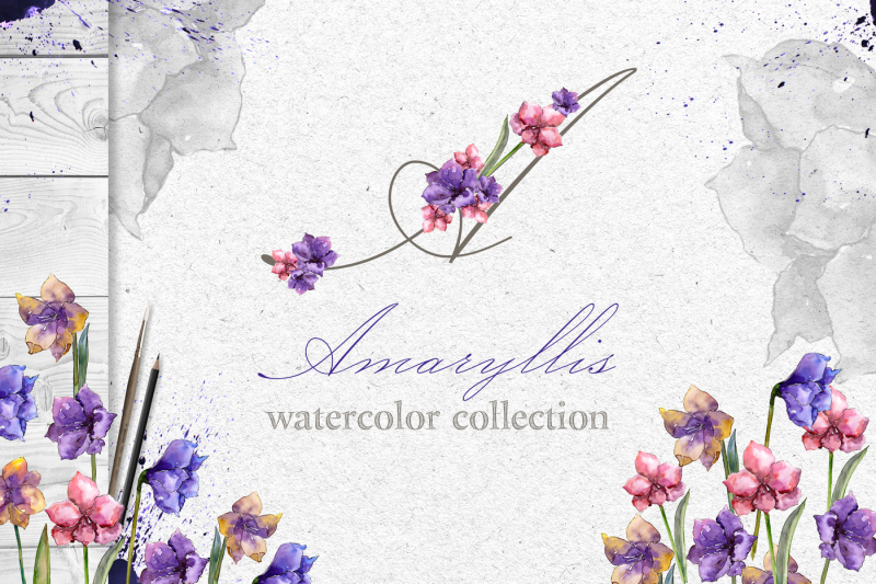 amaryllis-watercolor-png
