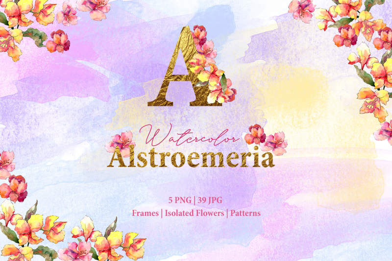 alstroemeria-watercolor-png