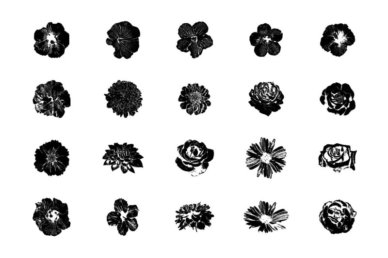 flower-silhouette-illustrations