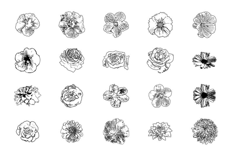 flower-silhouette-illustrations