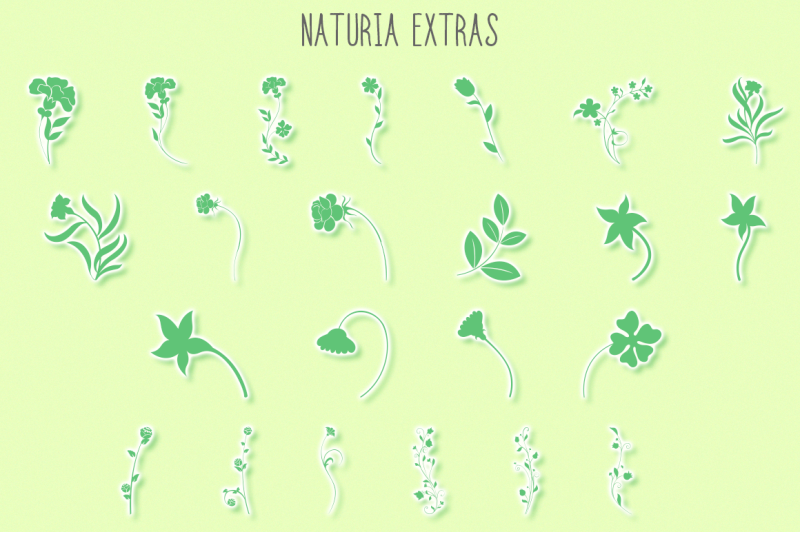 naturia-floral-font-amp-bonus-extras