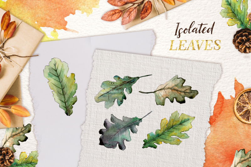 oak-leaves-watercolor-png