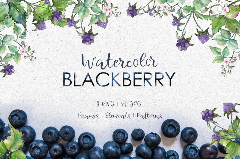 blackberry-watercolor-png