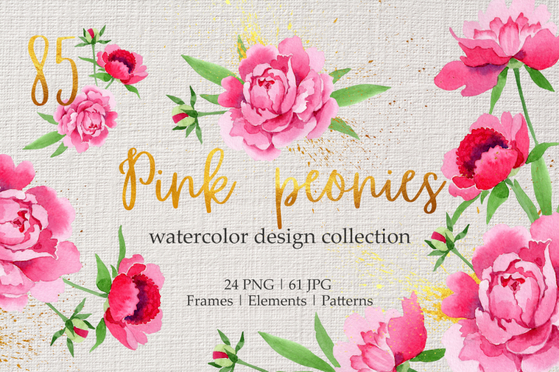 legendary-pink-peonies-watercolor-png