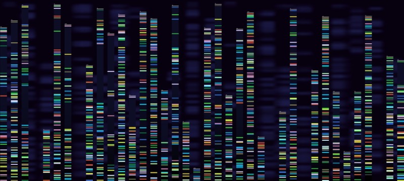 genomic-analysis-visualization-dna-genomes-sequencing-deoxyribonucle