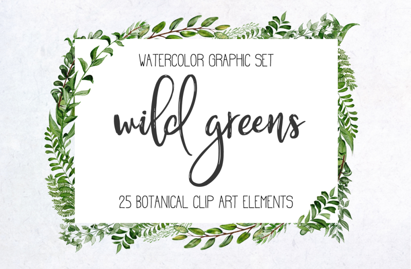 wild-greens-botanical-watercolor-graphics