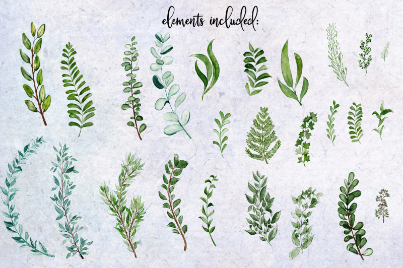 wild-greens-botanical-watercolor-graphics