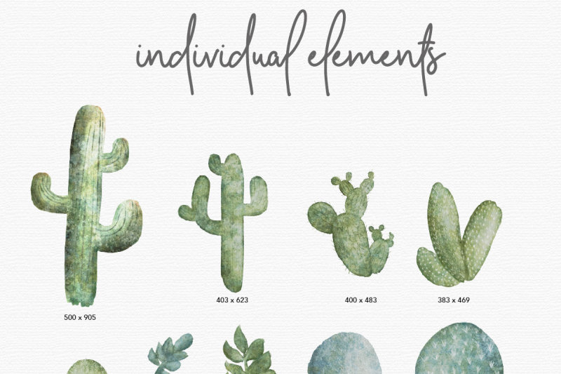 watercolor-cactus-design-pack