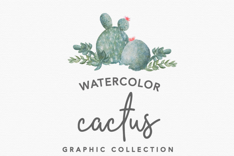 watercolor-cactus-design-pack