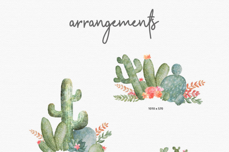 watercolor-cactus-design-pack