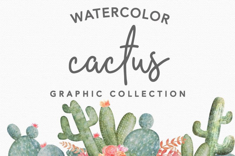 watercolor-cactus-design-pack