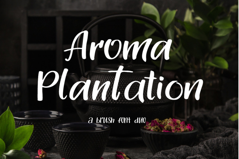 aroma-plantation-font-duo