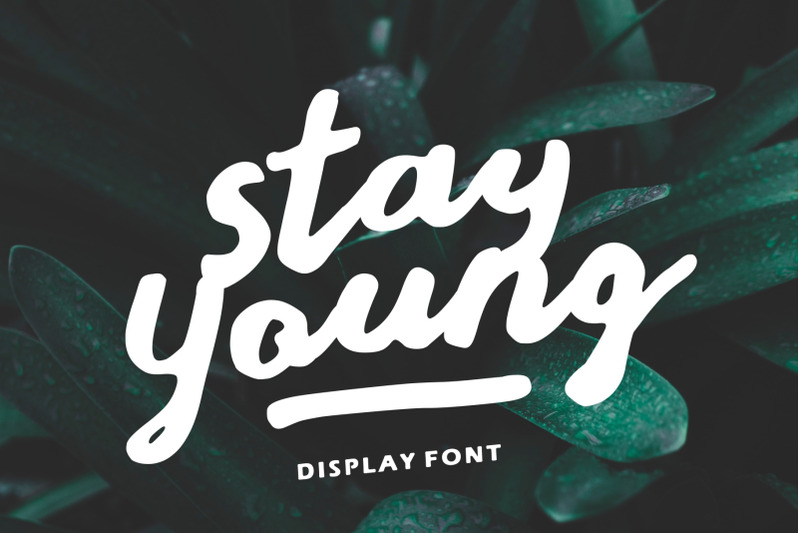 stay-young-a-display-font