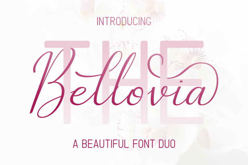 the-bellovia