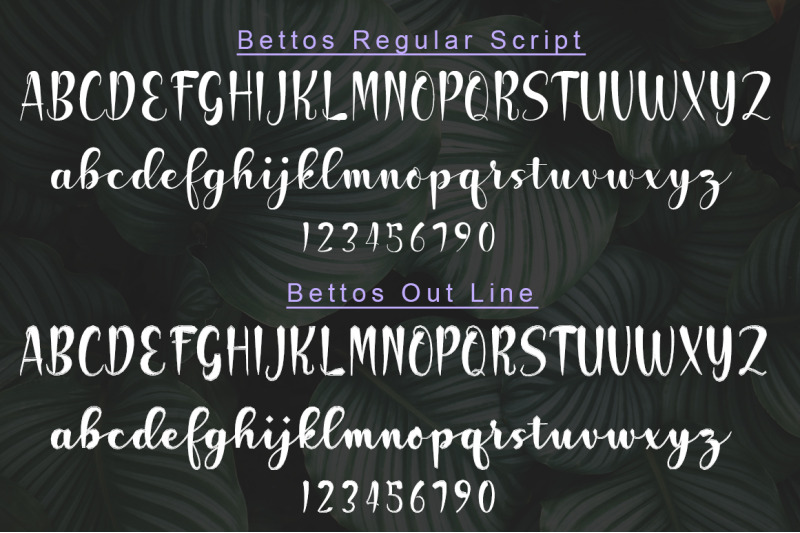 bettos-font-duo