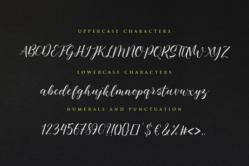 Baelish Script Font By Maculinc Thehungryjpeg Com