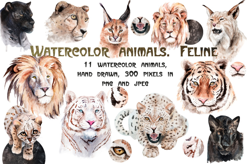 watercolor-realistic-animals-feline