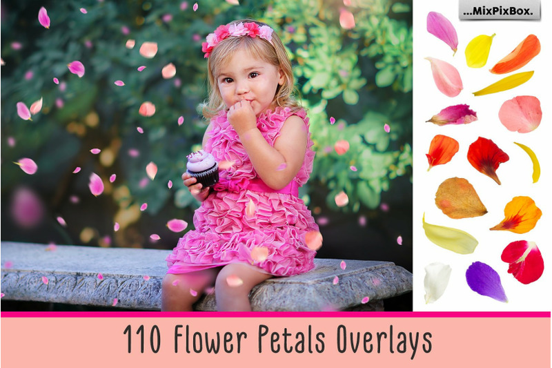 flower-petals-photo-overlays