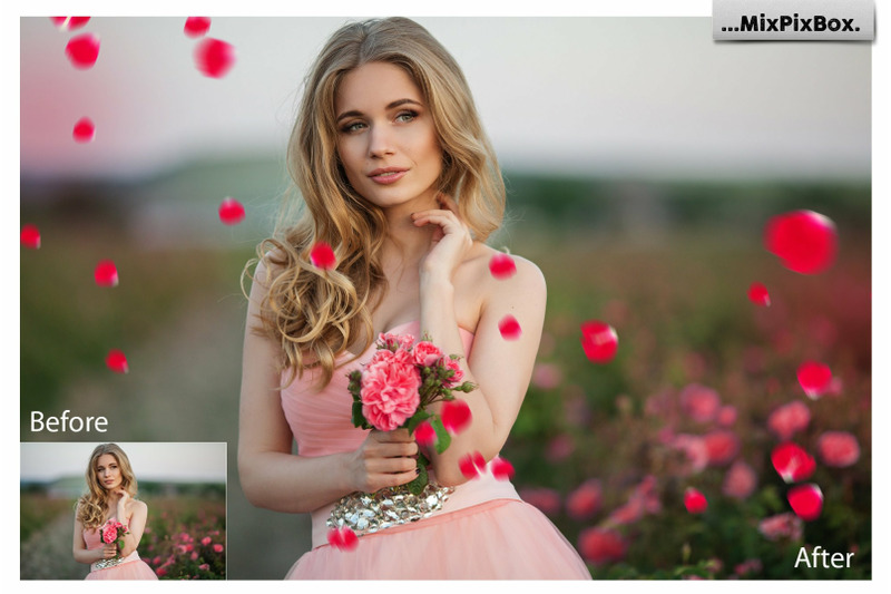 flower-petals-photo-overlays