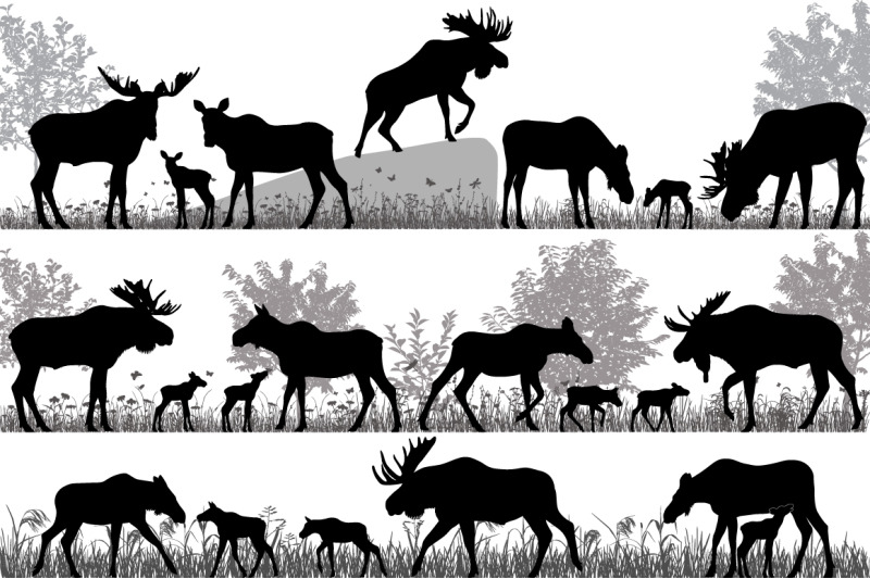 herd-of-moose