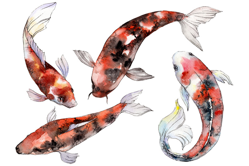 gold-fish-watercolor-png