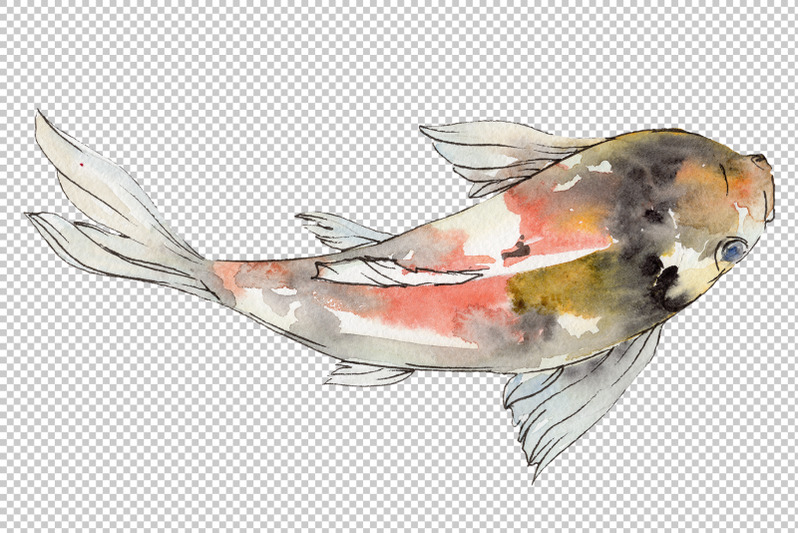 magic-gold-fish-watercolor-png