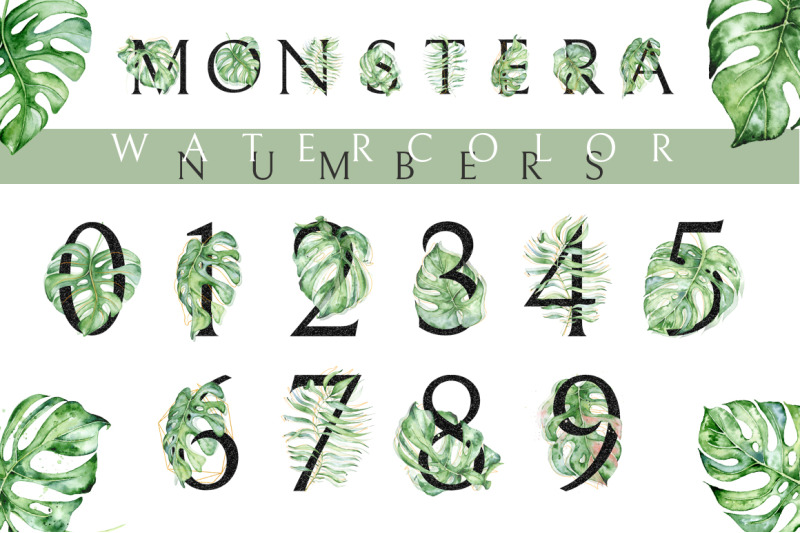 monstera-watercolor-black-alphabet